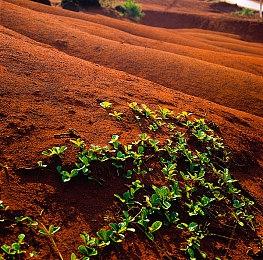 《超载地牢》登陆Switch 《幻兽帕鲁》开发商首部游戏